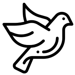Example banner